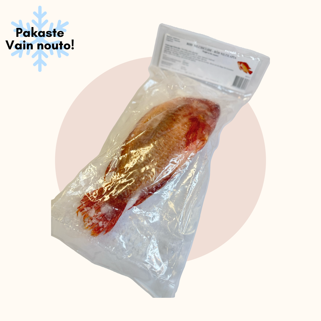 Seamaid punainen tilapia