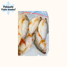 Asian pearl punapyrstö barbi 850g